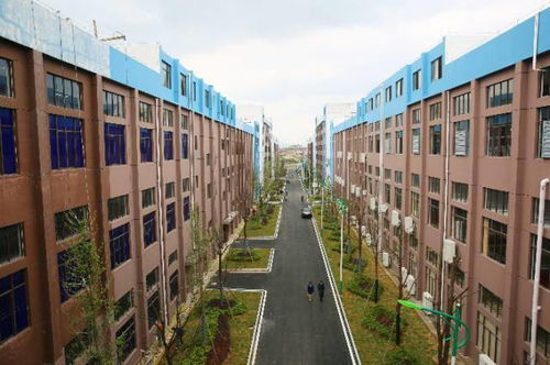 宁乡造 匠心独运，让你‘秀’出满身气质