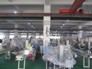 中小企业福音 温州产多功能食品包装机与软件开发服务，一站式高性价比解决方案